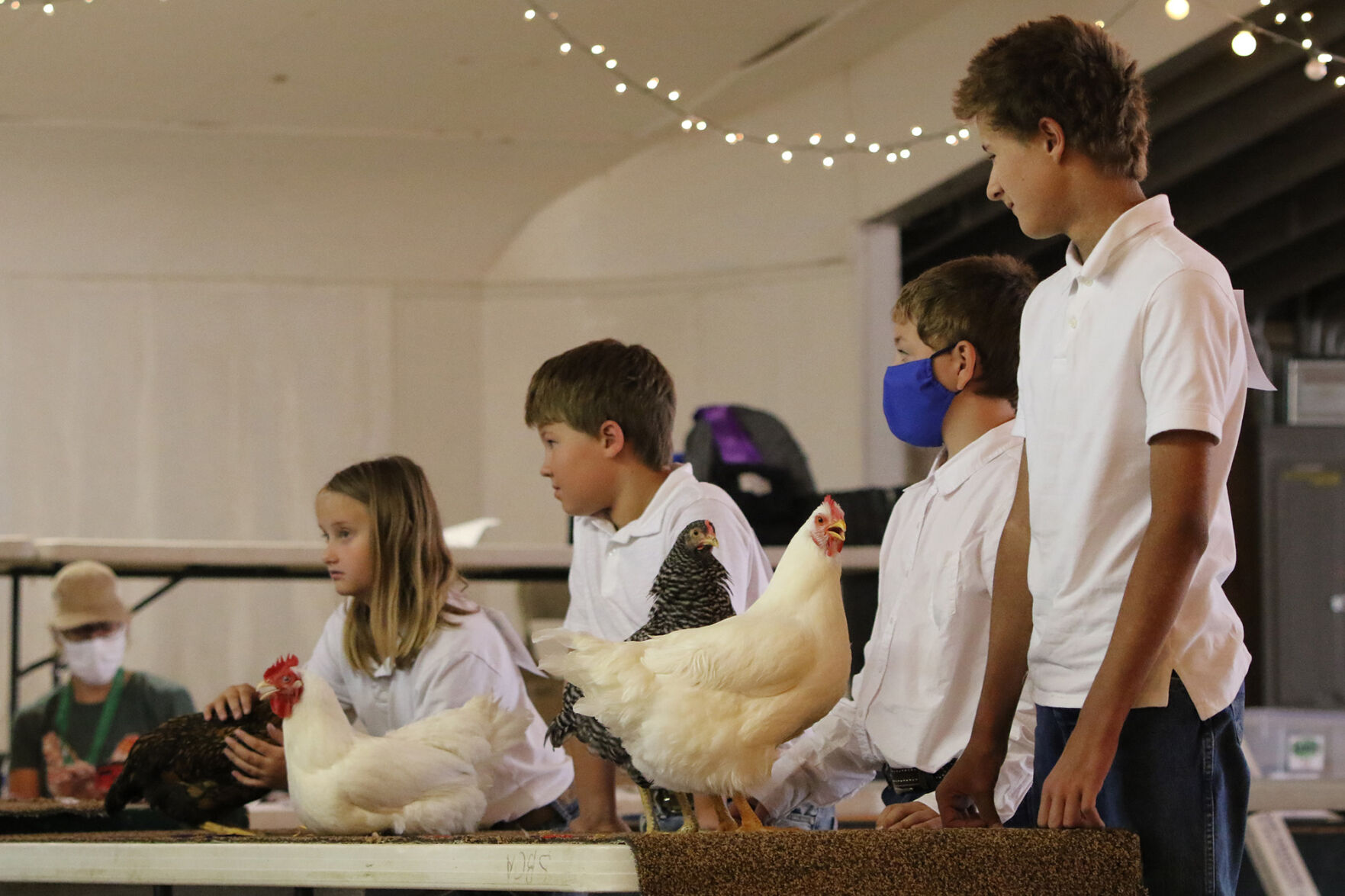 PHOTOS: Poultry Show at Scotts Bluff County Fair 2020